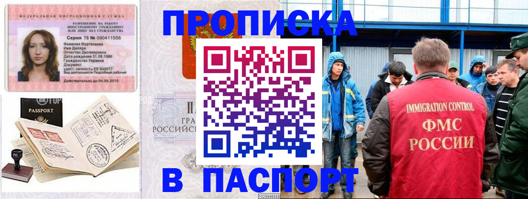 временная регистрация недорого в Новом Осколе